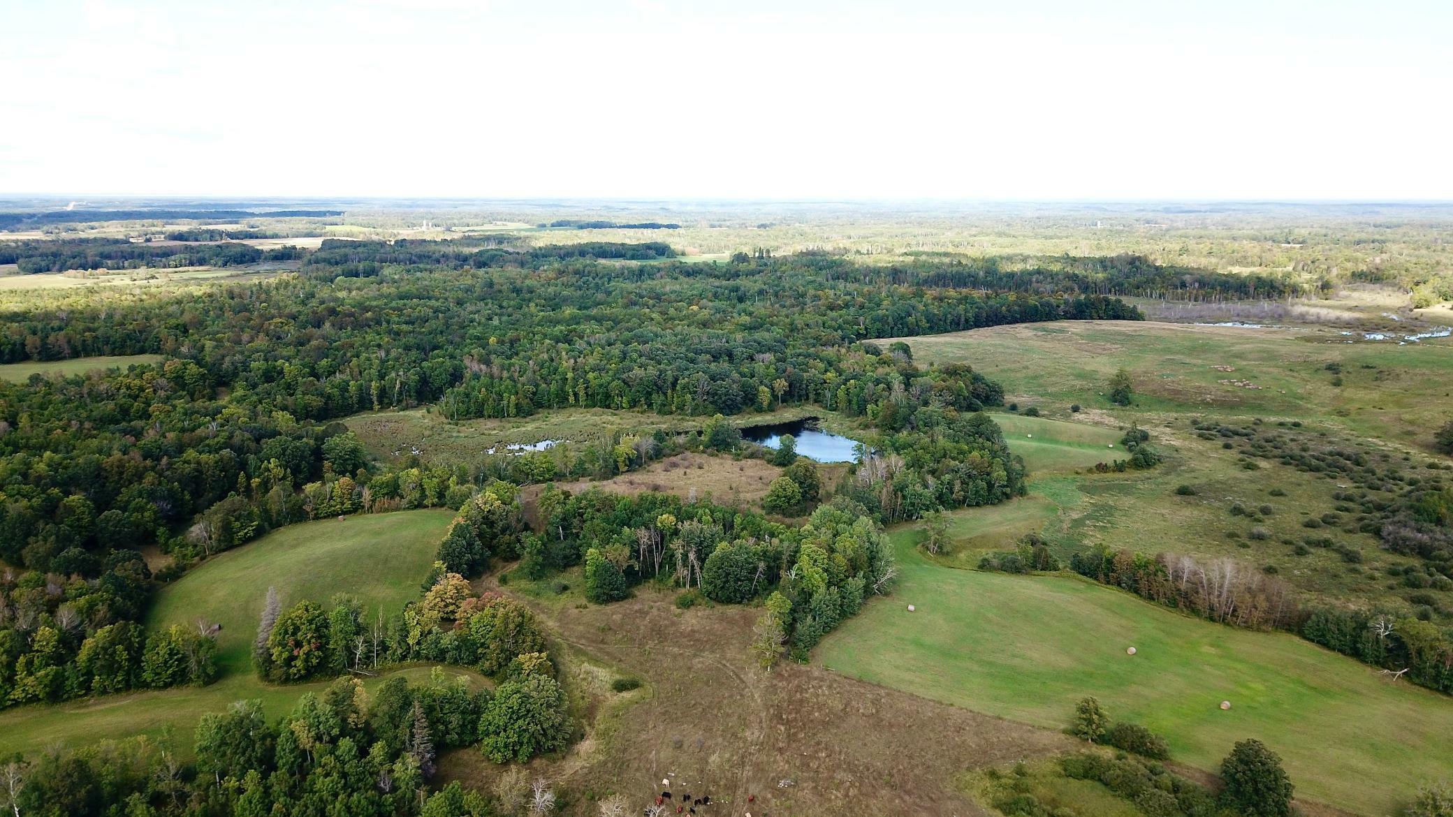 Tbd 450th Street  Dudley Twp MN 56652 photo