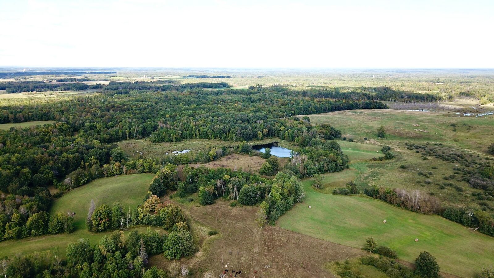 Property Photo:  Tbd 450th Street  MN 56652 