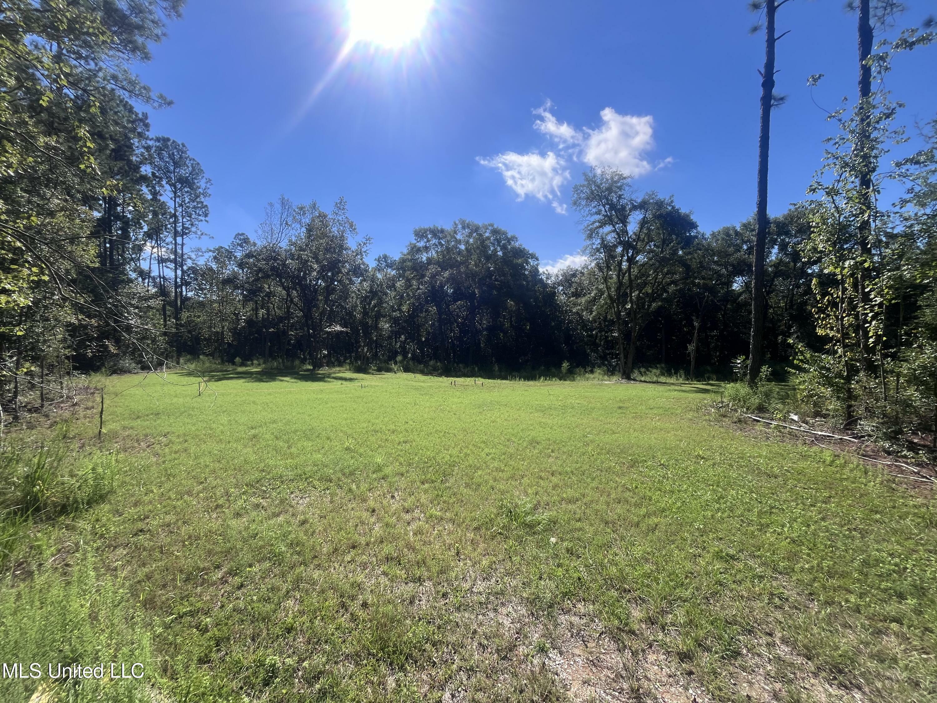 Property Photo:  11056 Paige Bayou Rd Road  MS 39565 