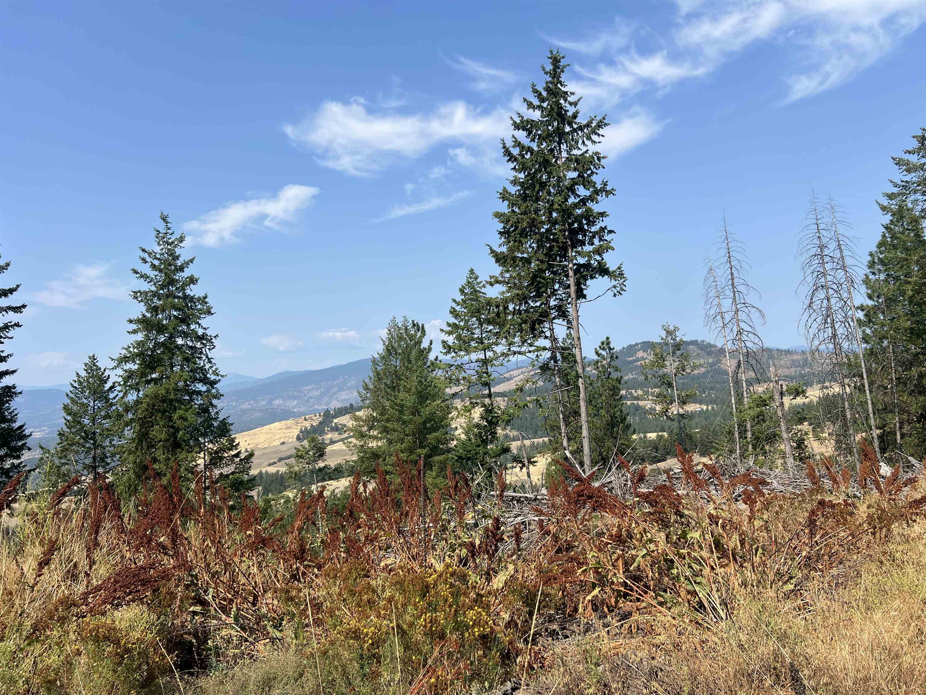 Property Photo:  Tbd Highland Loop  WA 99114 