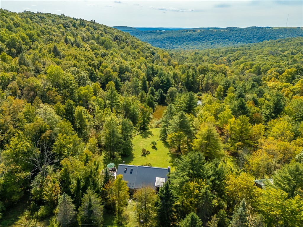 Property Photo:  7836 Freeman Hollow Road  NY 14810 