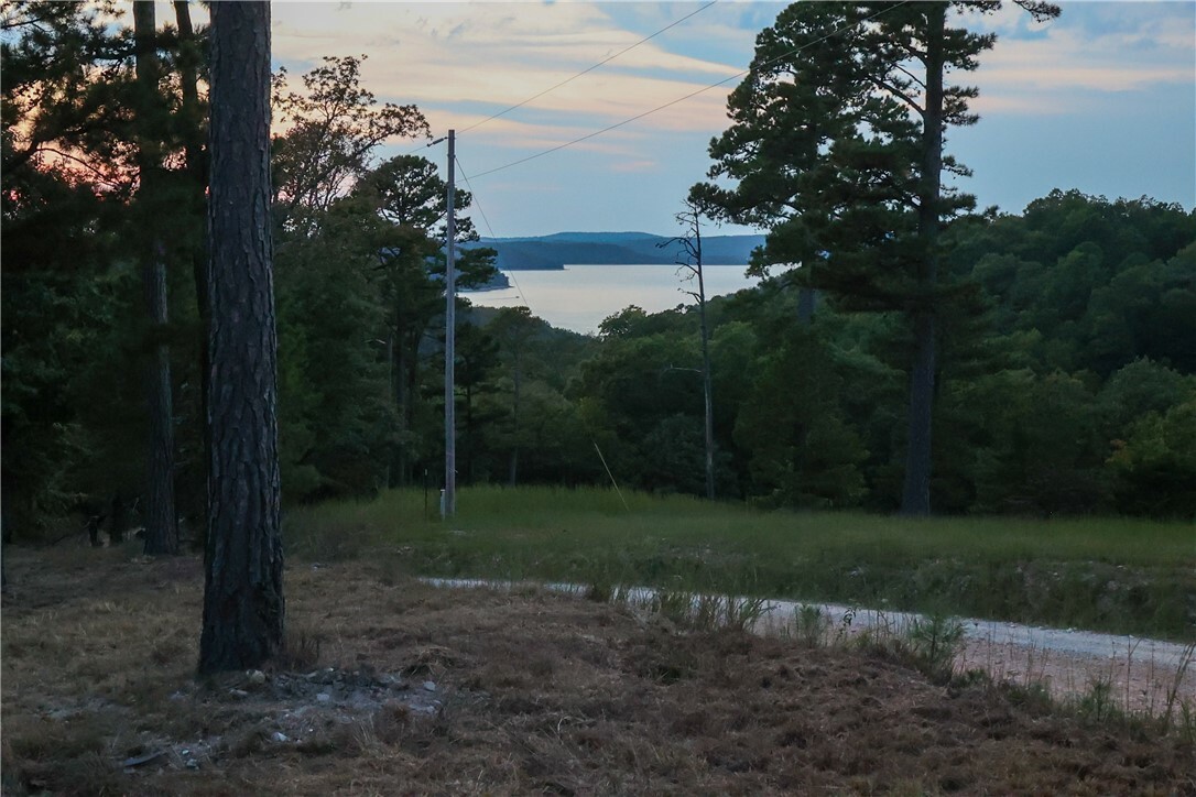 Property Photo:  1525 County Rd 1525  AR 72632 