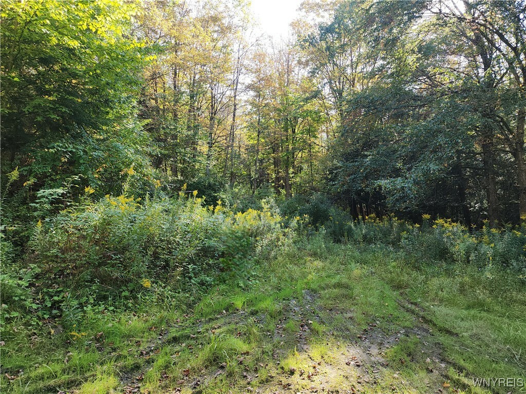 Property Photo:  33 Creek Ridge Road  NY 14731 