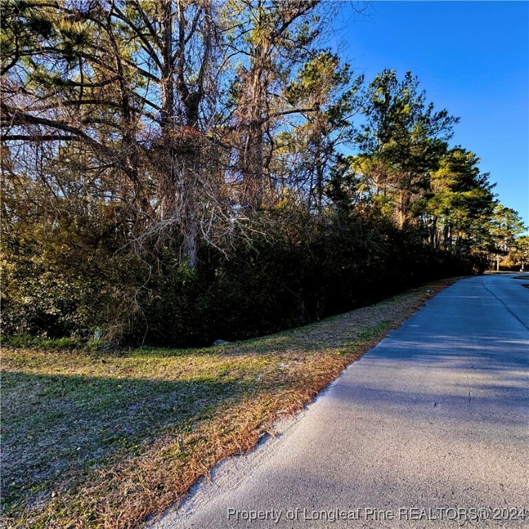 Property Photo:  202 Pettiford Road  NC 28584 