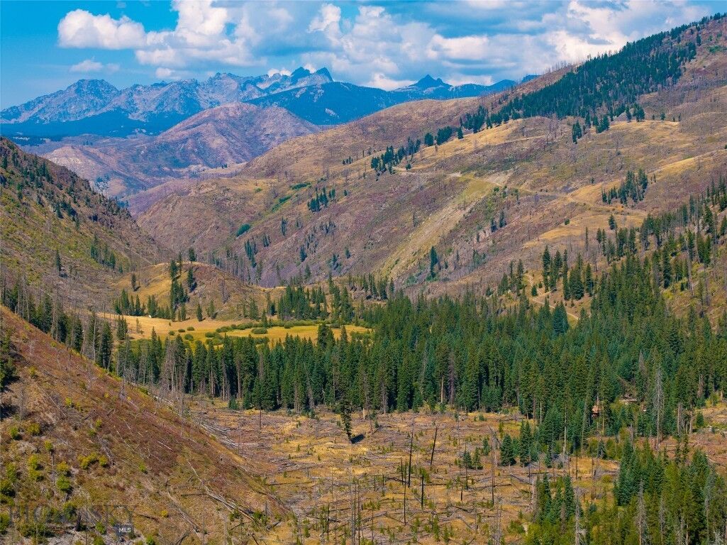 Property Photo:  Tract 5 Dutch Road  MT 59047 