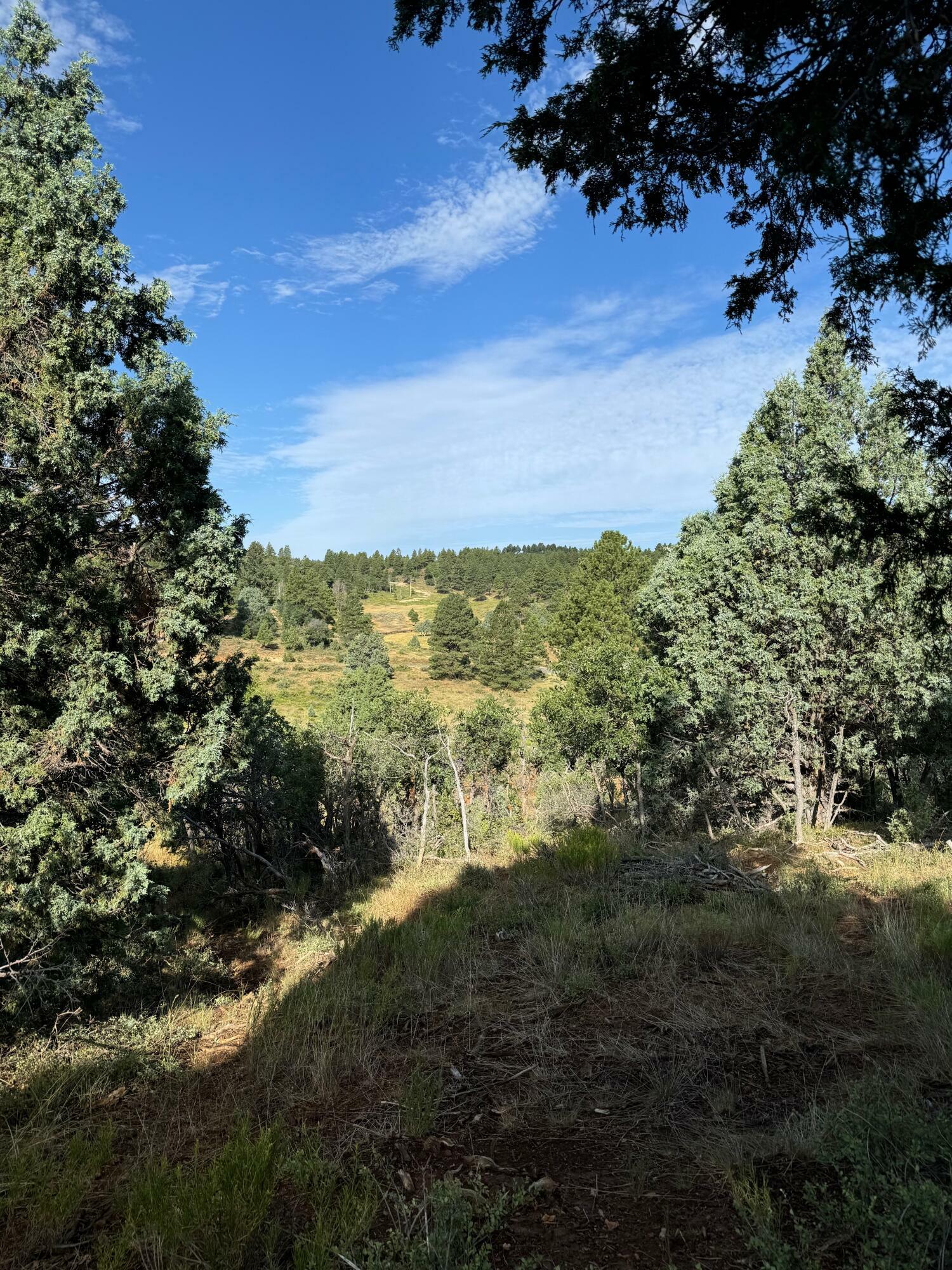 Property Photo: 2450 W. Manitoban Trail UT 84762