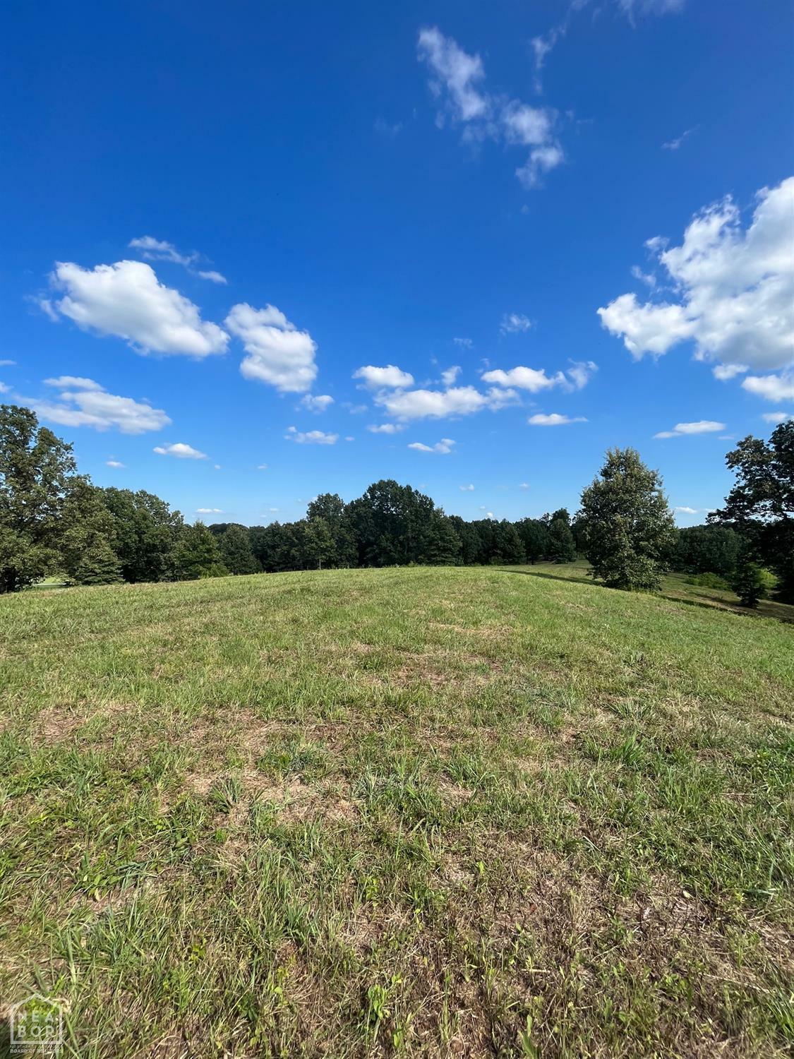 Property Photo:  8 County Road 118  AR 72416 