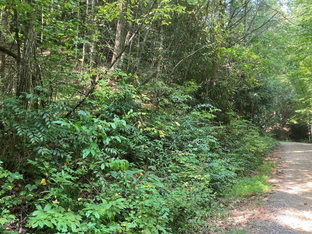 Property Photo:  5.8 Copper Creek Road  NC 28906 