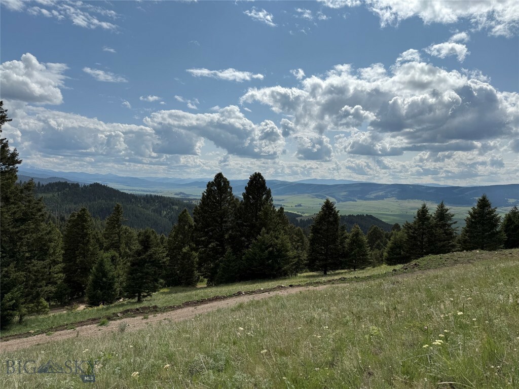 Property Photo: Tbd Scranton Lode Lot 5 Ms 3667 Road MT 59858