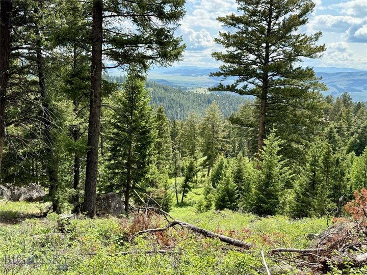 Property Photo: Tbd Scranton Lode Lot 5 Ms 3667 Road MT 59858