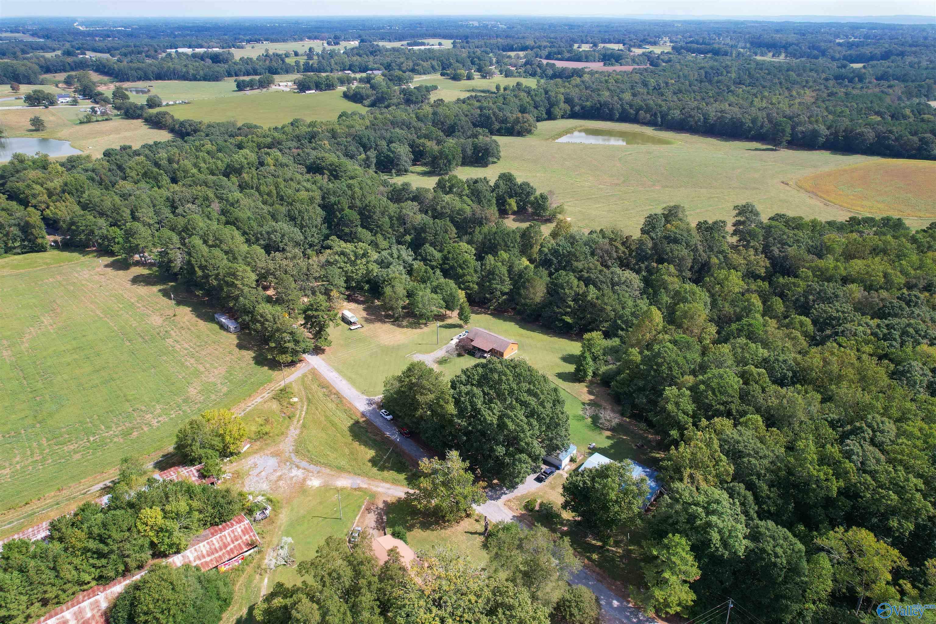 Property Photo:  563 County Road 15  AL 35957 