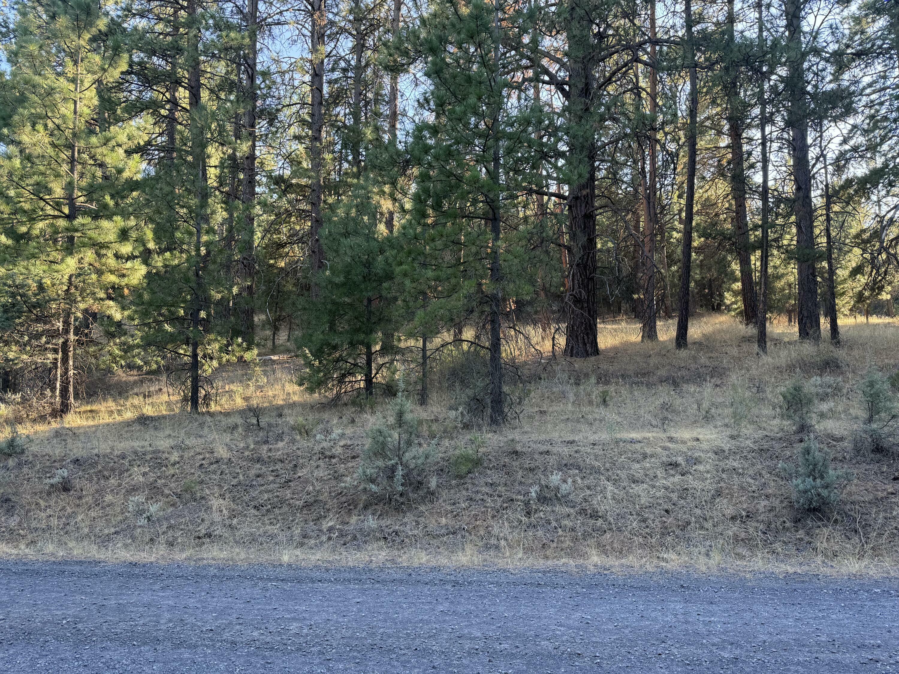 Property Photo:  Overland Drive Lot 2  OR 97603 