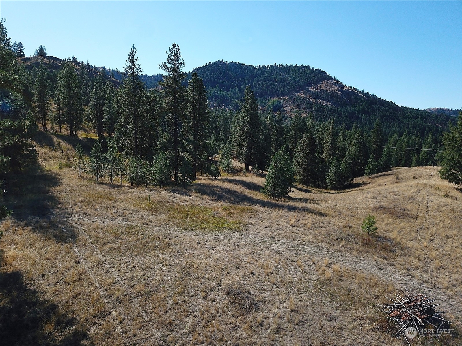 Property Photo:  68 Jostin Lane  WA 99150 