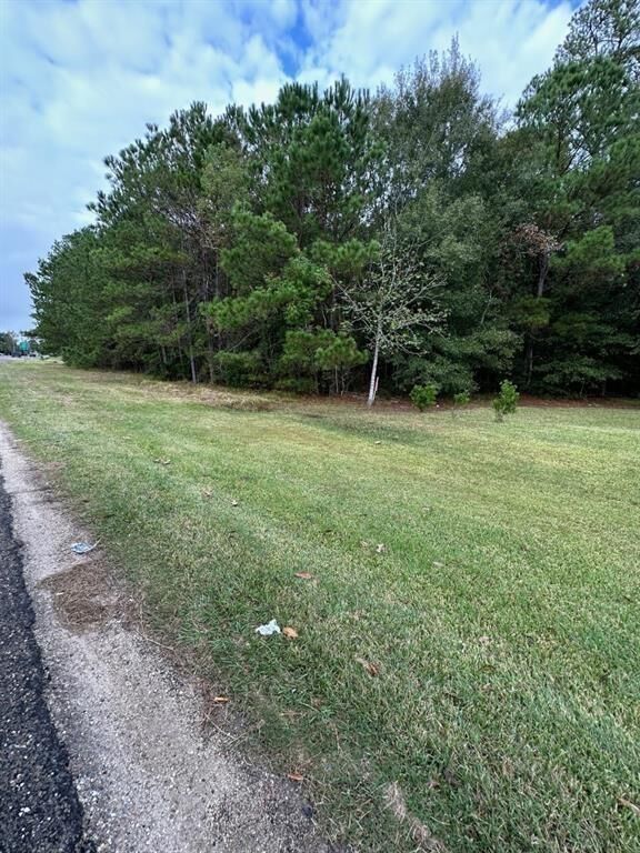Property Photo: 000 Fm-1409 TX 77523