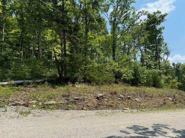 Property Photo:  Lots 1-4 Dixie Bend Road  KY 42519 