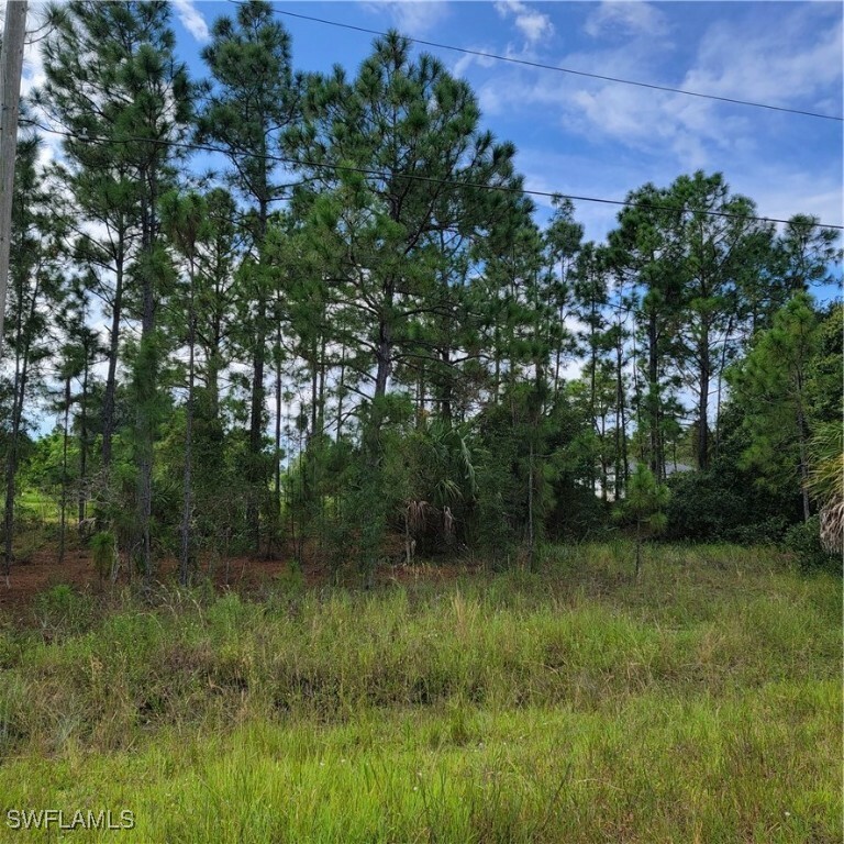 Property Photo: 612 Charles Sise Street E FL 33974