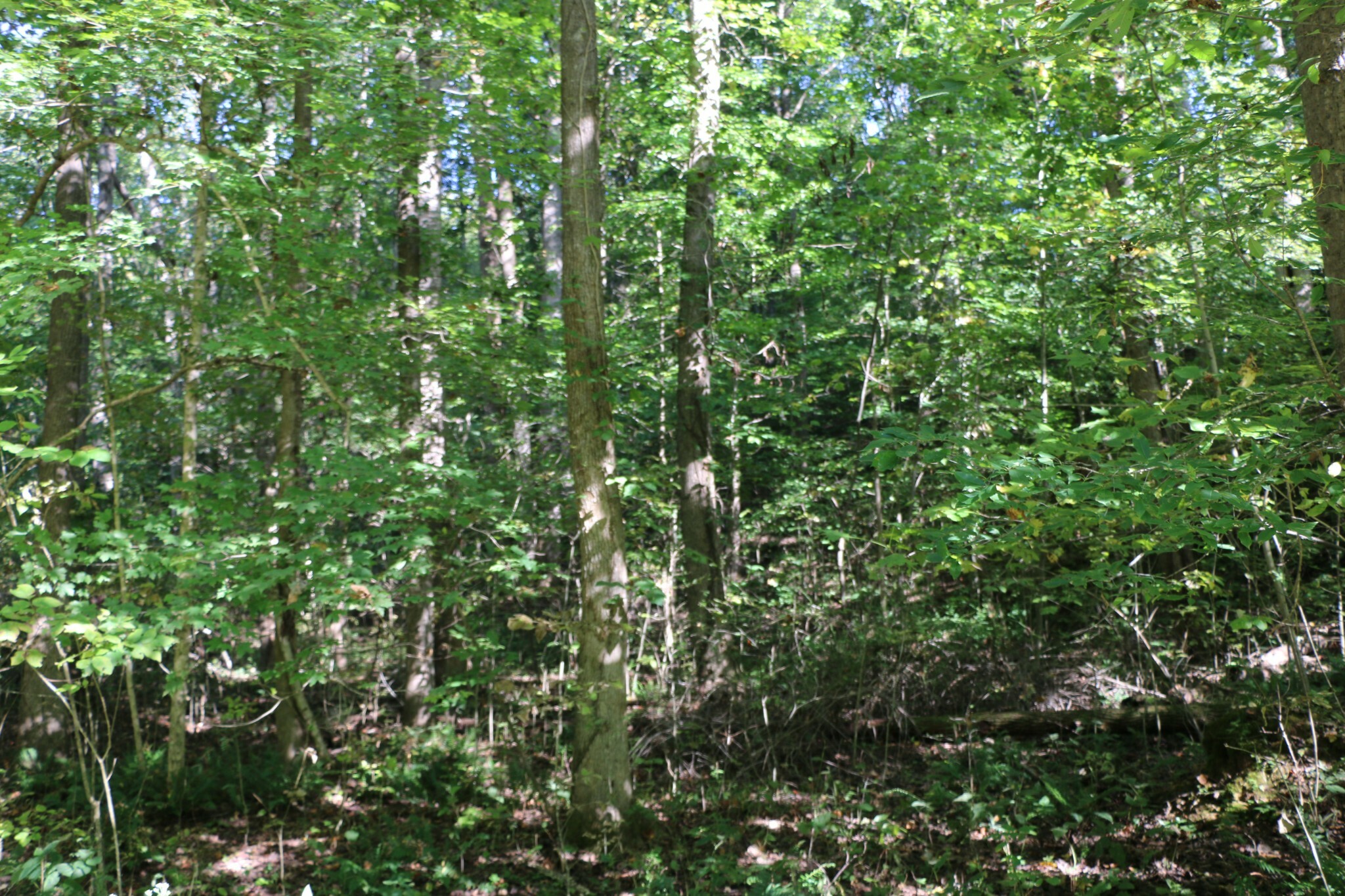 Property Photo: 167 Hermitage Cir TN 37028