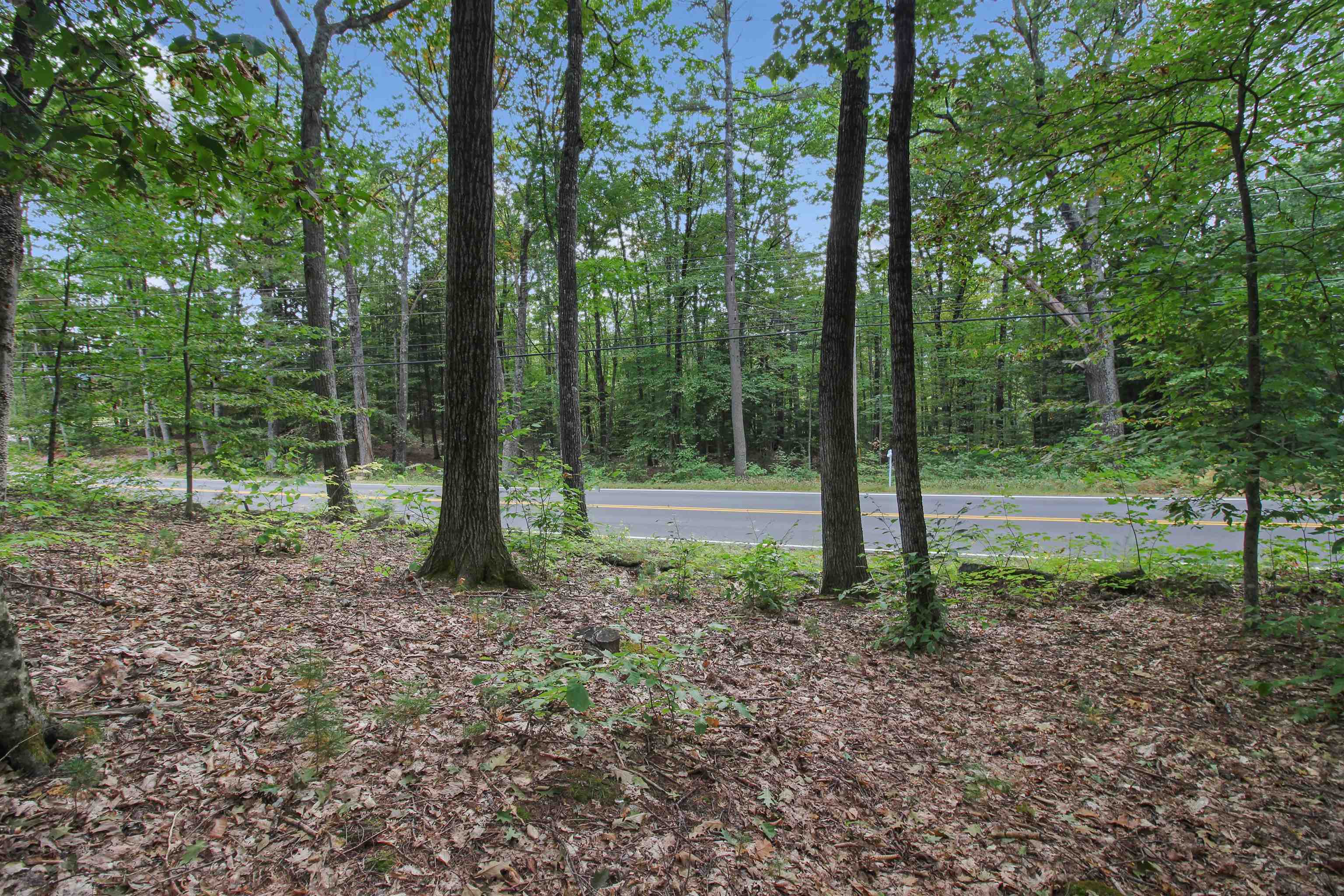 Property Photo: 00 Route 175 NH 03285