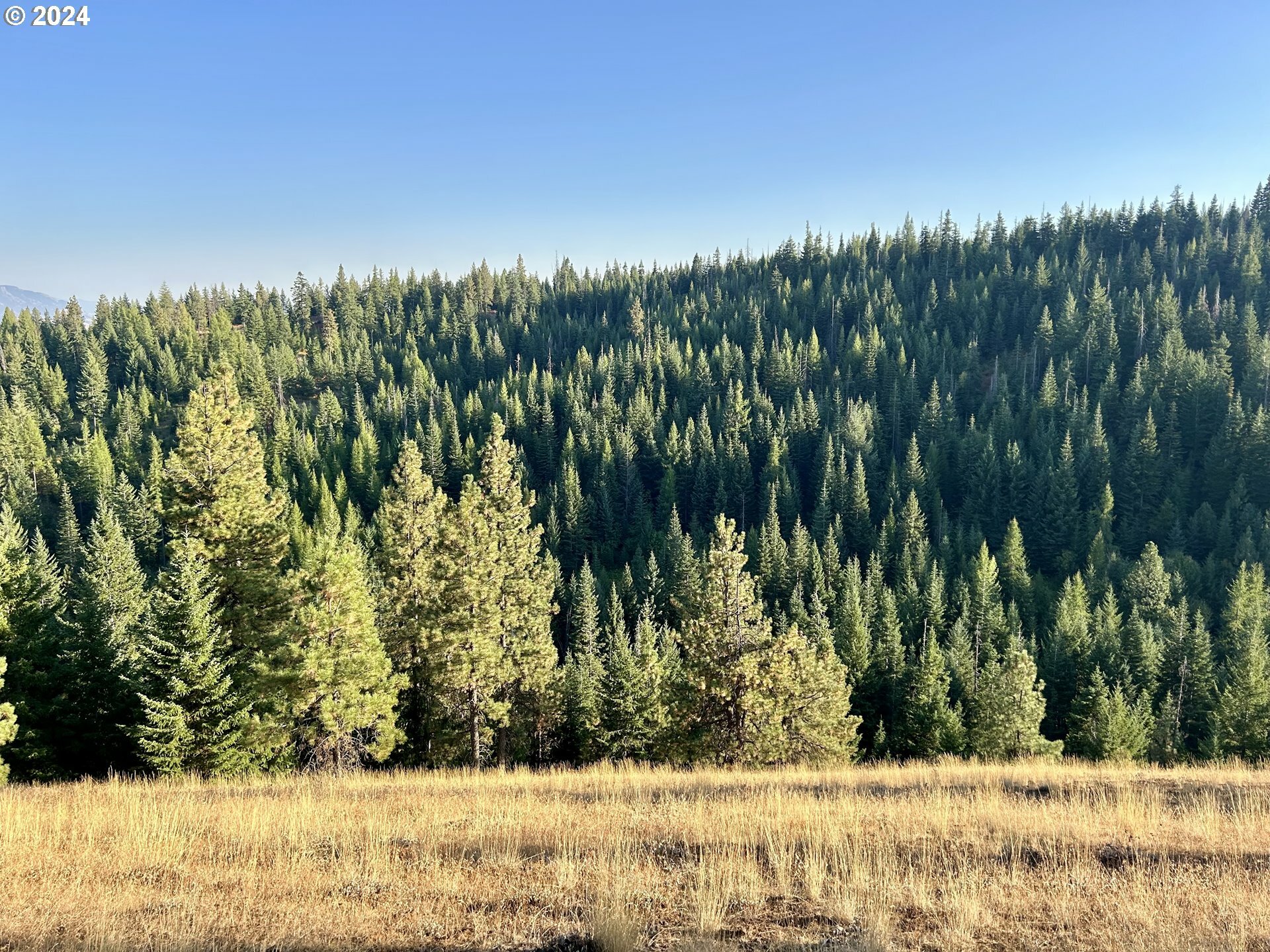 Property Photo:  Craigs Cabin Rd  OR 97827 