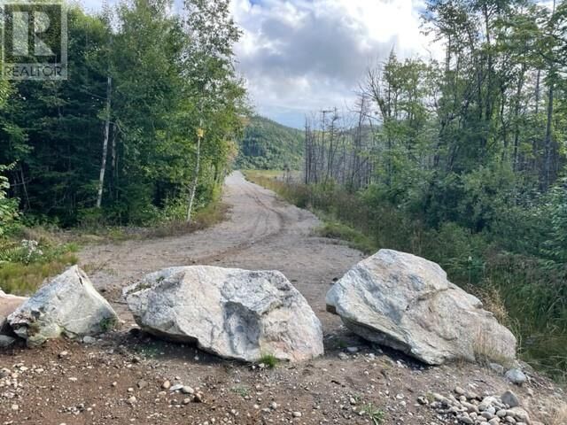 460 Route - White'S Road — photo 1