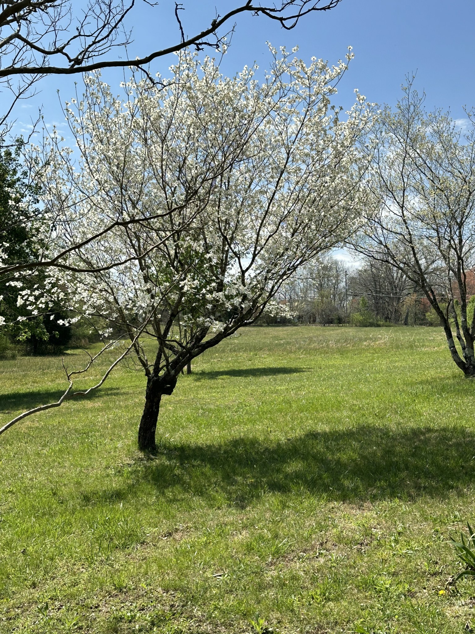 Property Photo:  8460 Coopertown Rd  TN 37080 