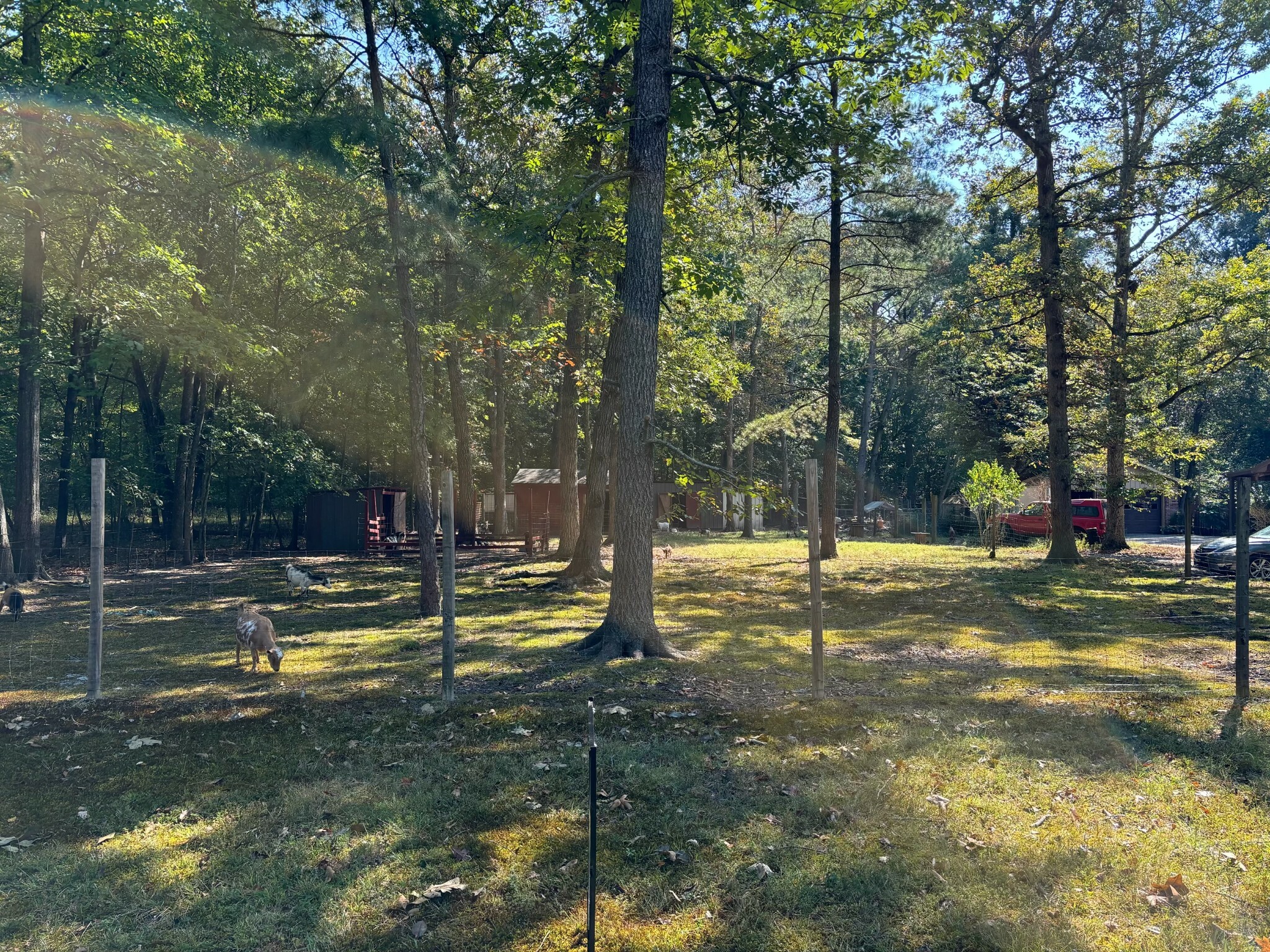 Property Photo:  0 Willow Oak Road  TN 37355 