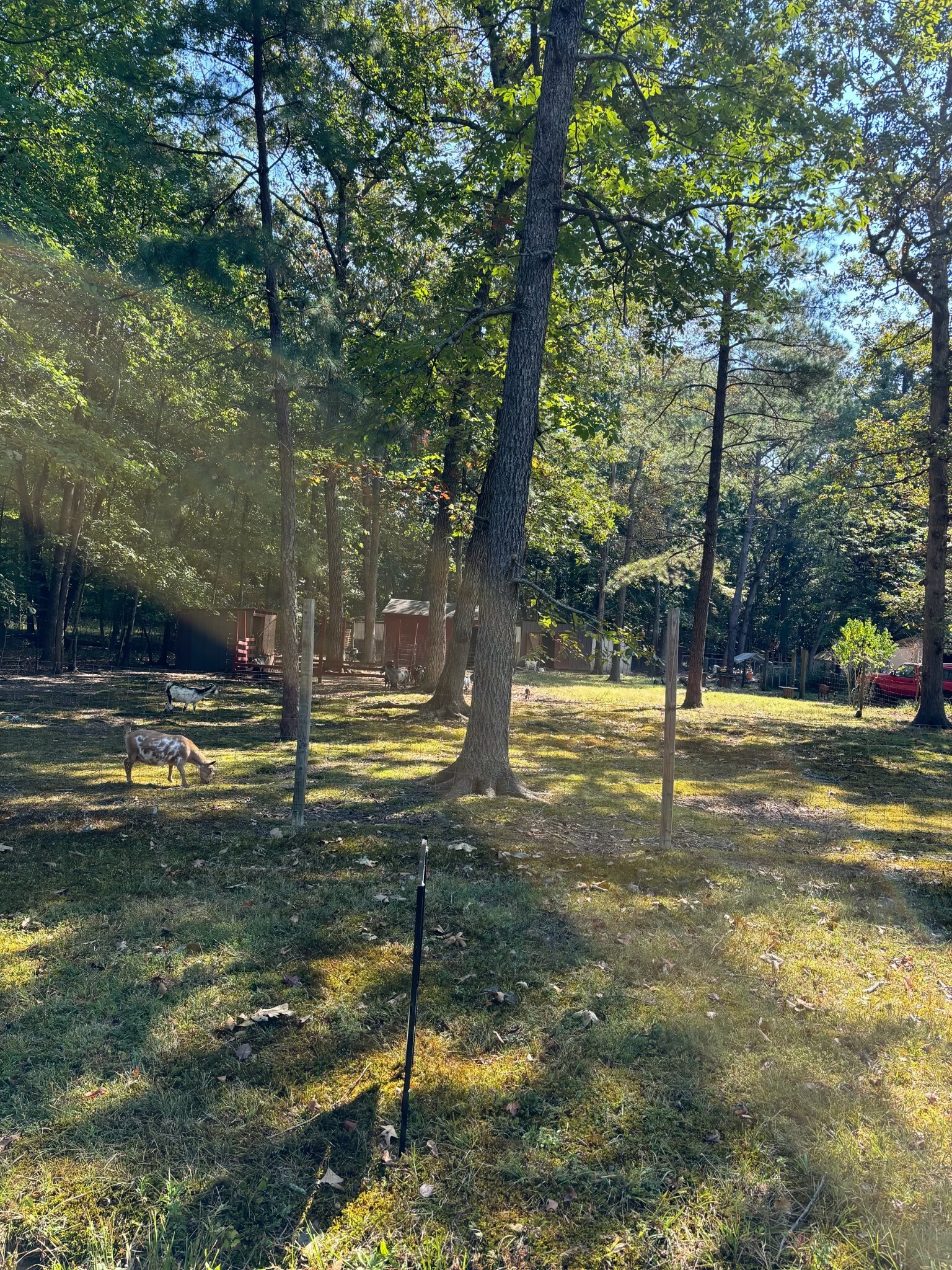 Property Photo:  0 Willow Oak Road  TN 37355 