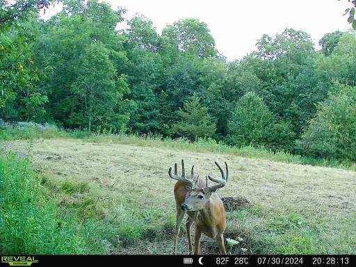 Property Photo:  102 +/- Acres North Buck Creek Road  WI 54628 