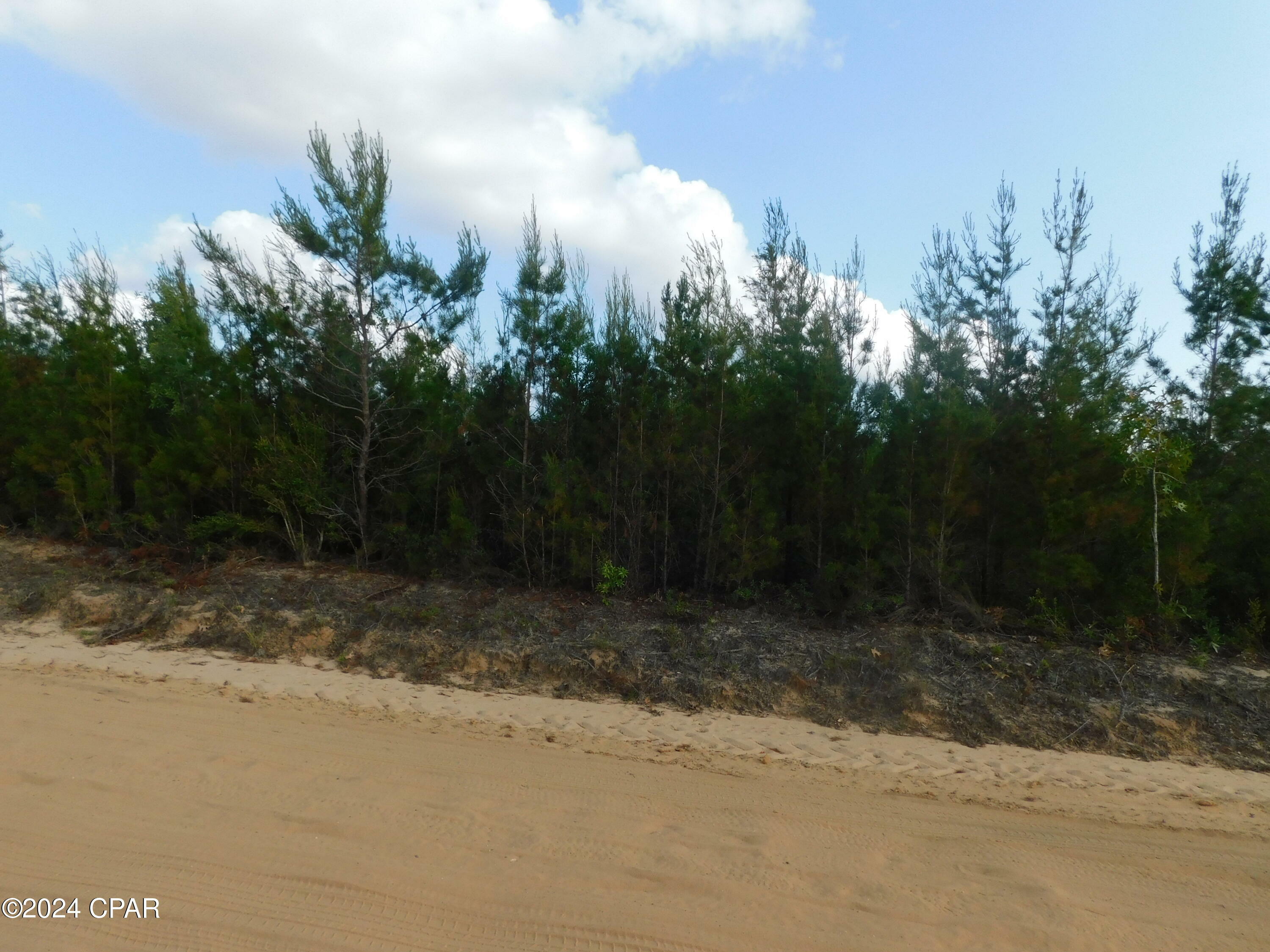 Property Photo:  Tbd S Silver Lake Road  FL 32438 