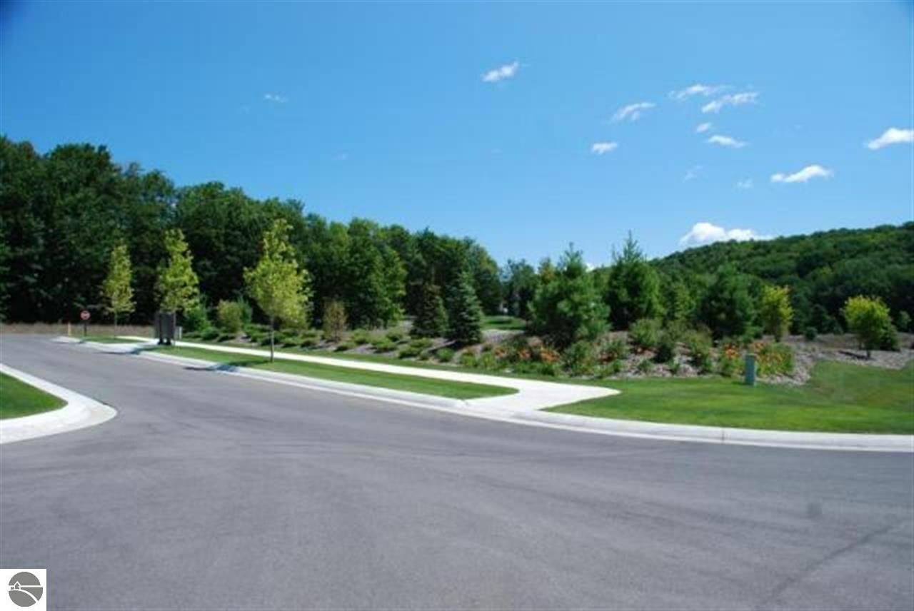 Property Photo:  Lot 61 S Skye Hill Drive  MI 49684 