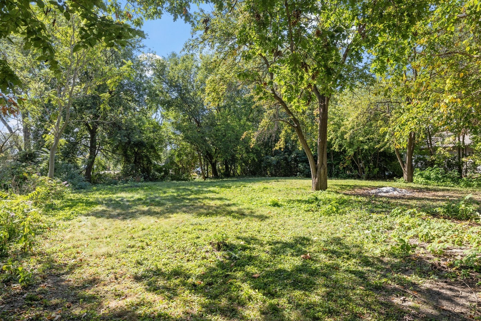 Property Photo:  47 E Des Moines Street  IL 60559 