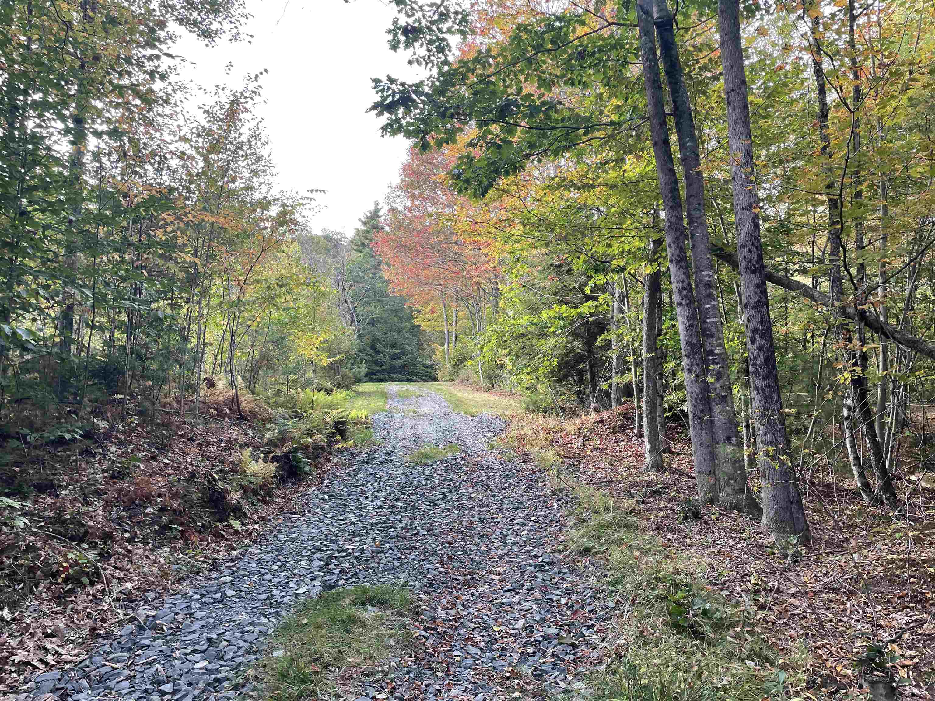 Property Photo:  491 Whitneyville Road  VT 05358 