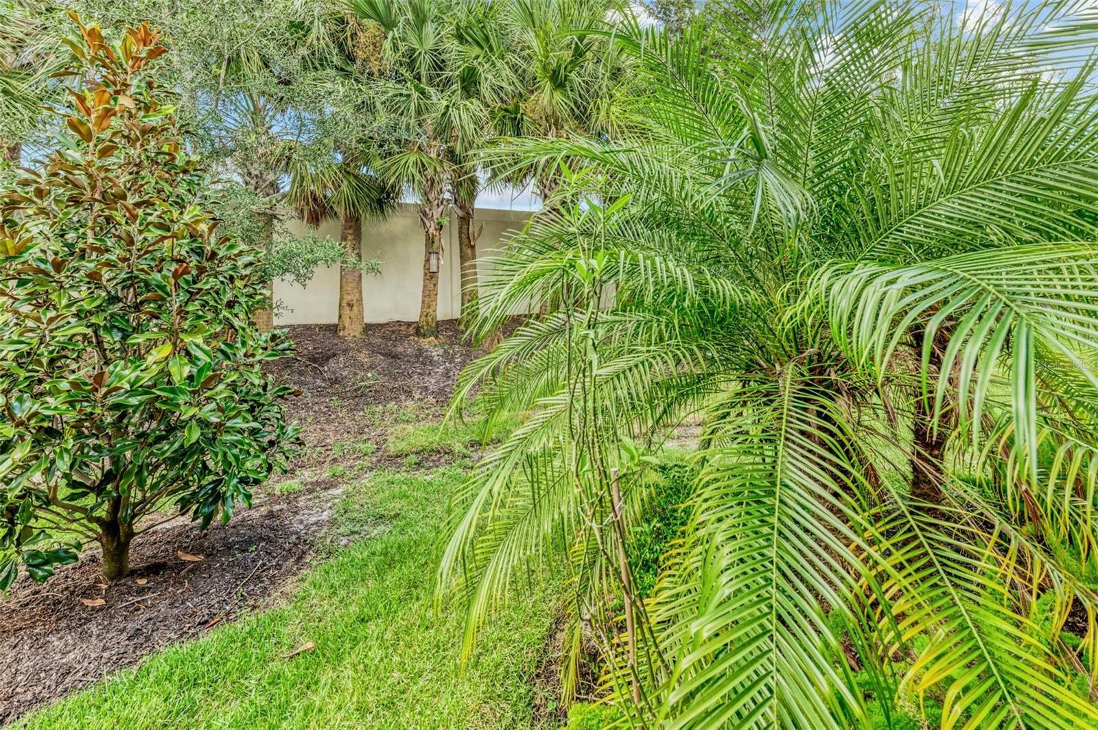 Property Photo:  176 Soliera Street  FL 34275 