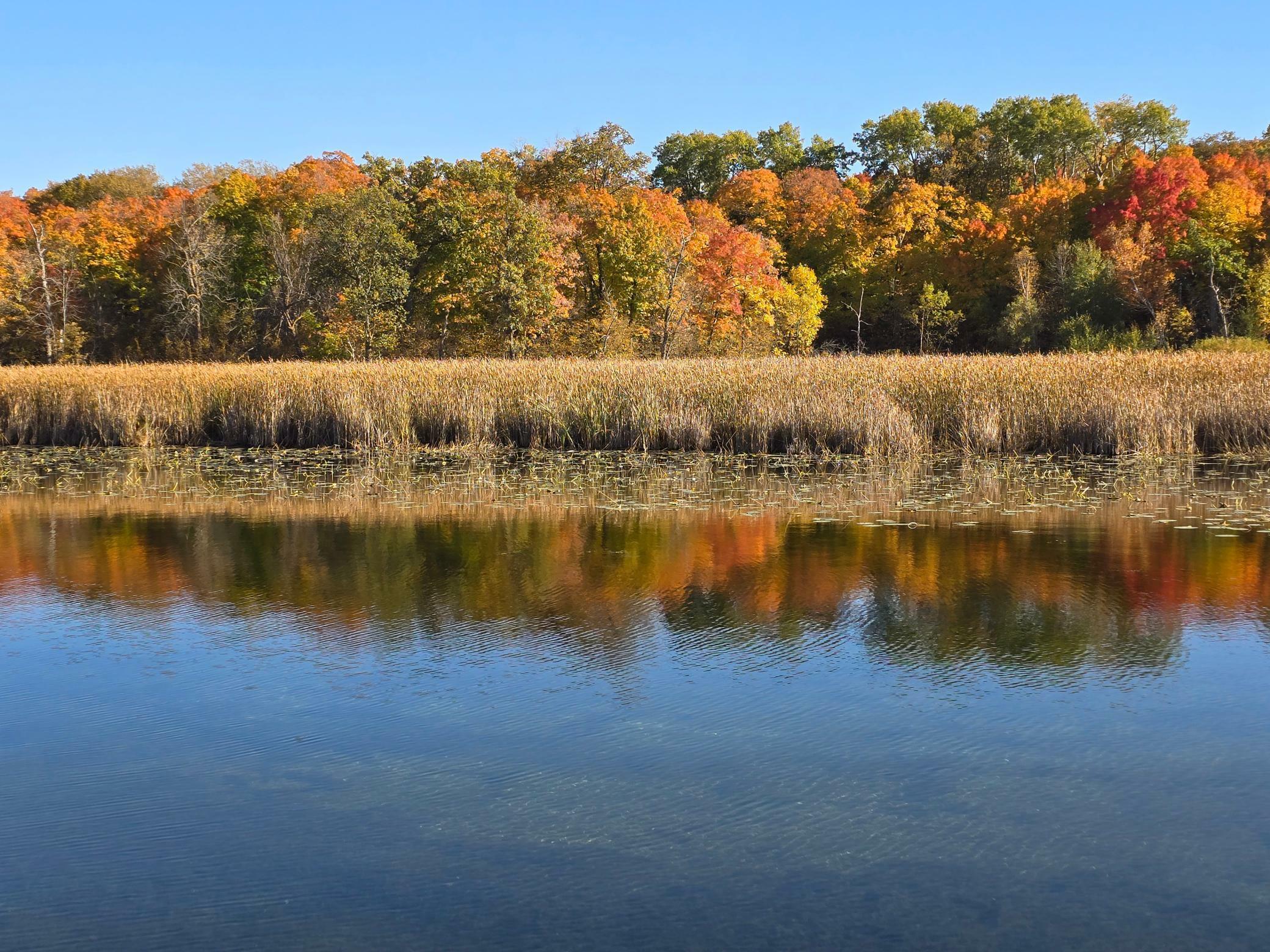 Property Photo:  Tract K Blybergs Lane  MN 56572 