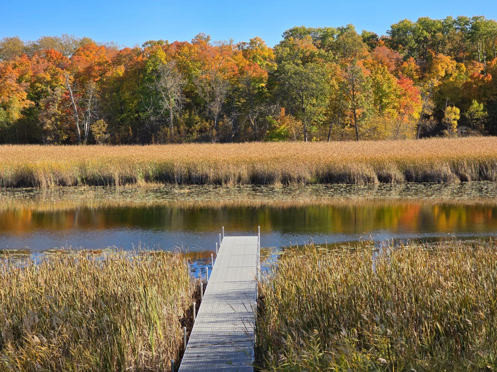 Property Photo:  Tract F Blybergs Lane  MN 56572 