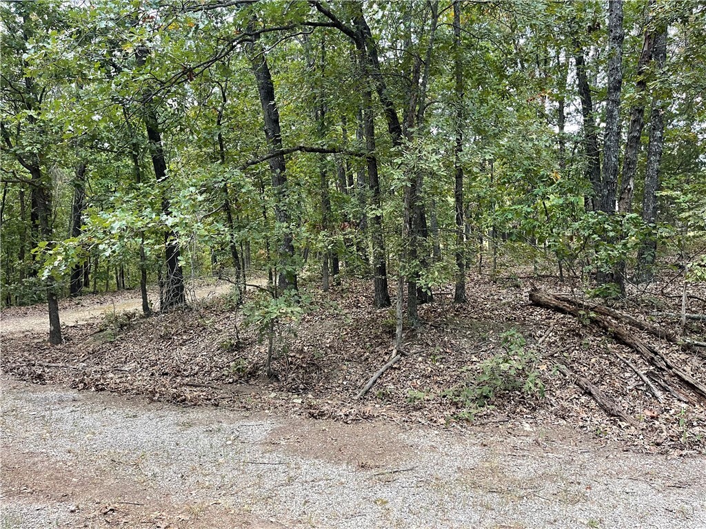 Property Photo: Sandgate Dr/Ashford Circle AR 72714