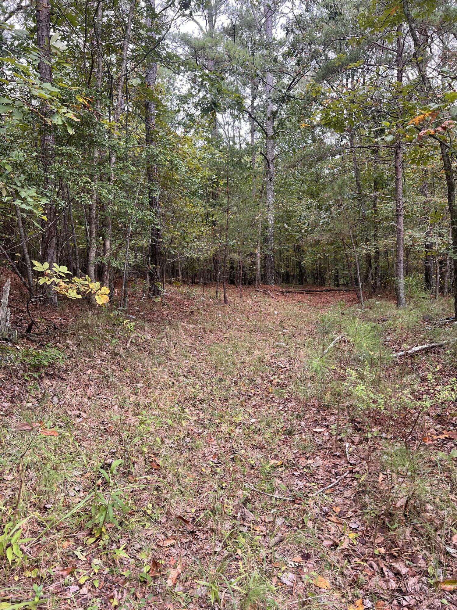 Property Photo:  0 County Road  AL 35984 