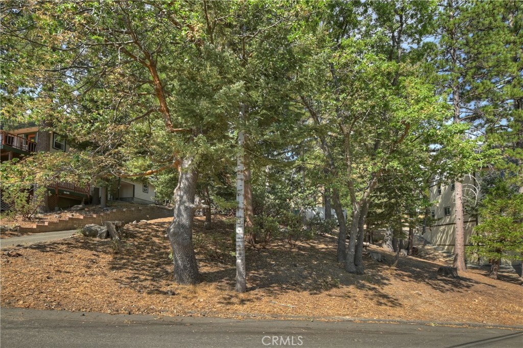 0 Auburn Drive  Lake Arrowhead CA 92352 photo