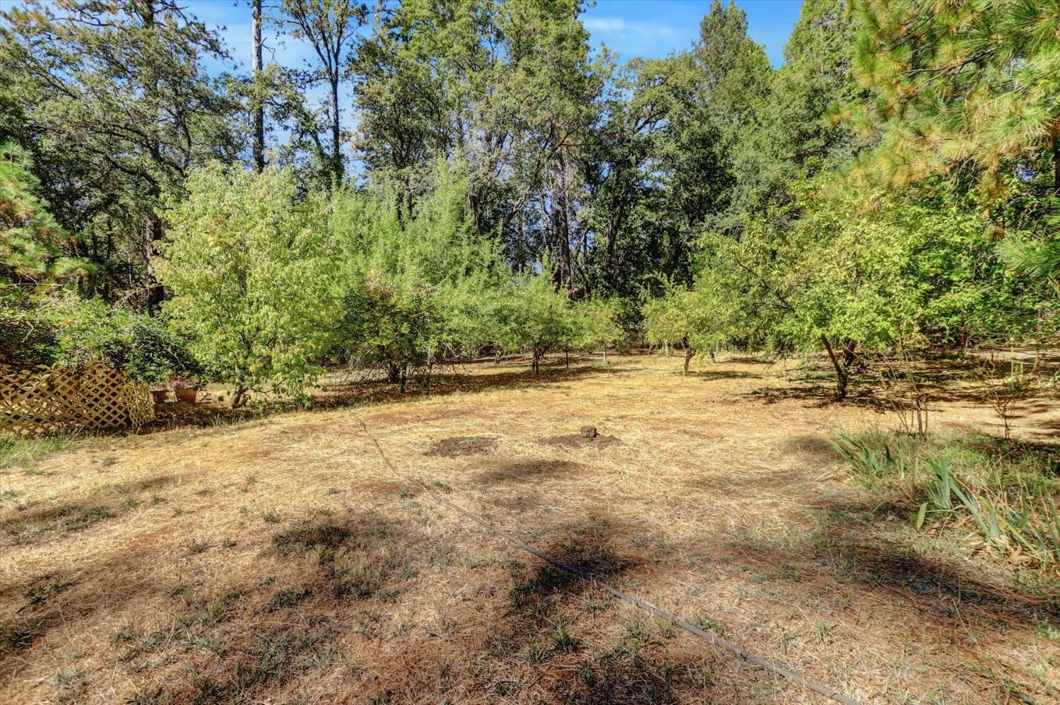 Property Photo: 10848 Eich CA 95935