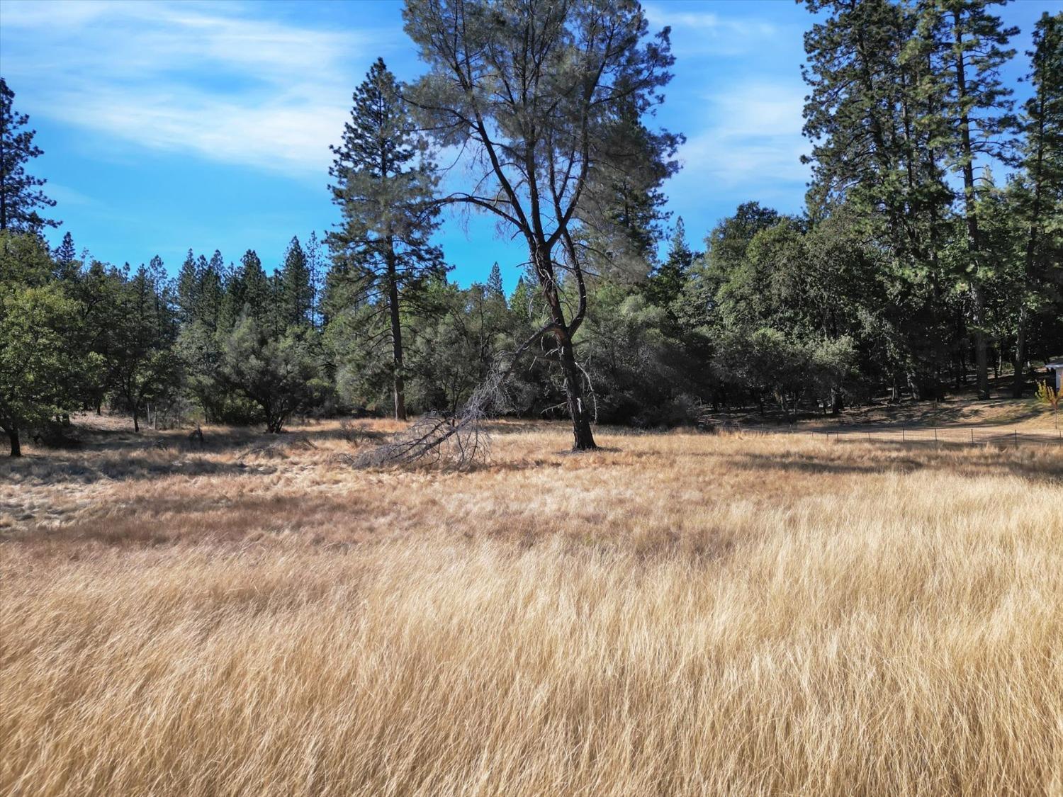Property Photo: 10848 Eich CA 95935