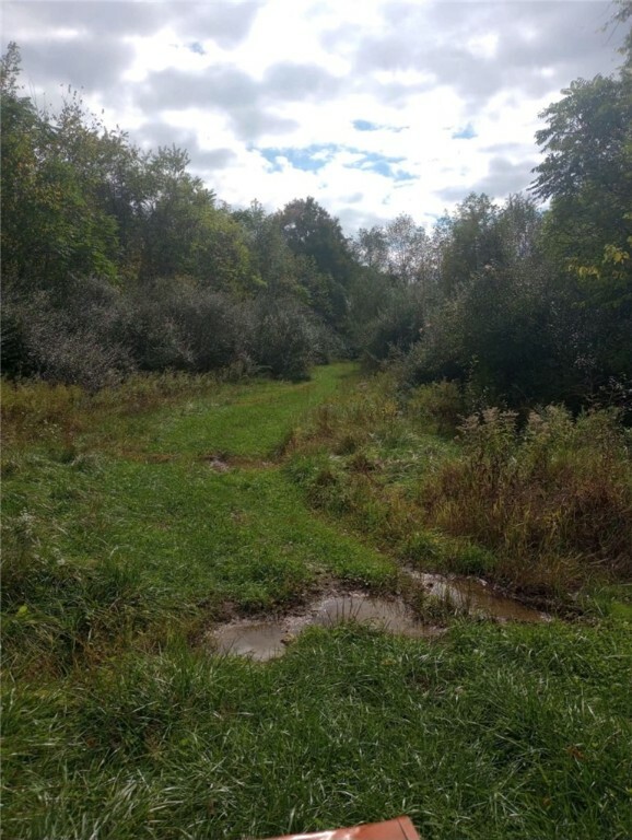 Property Photo: Lot 1 Hope Hollow Rd PA 15451