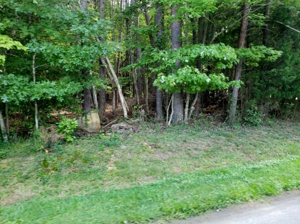 Property Photo:  0 Highland Park Road  VA 24176 