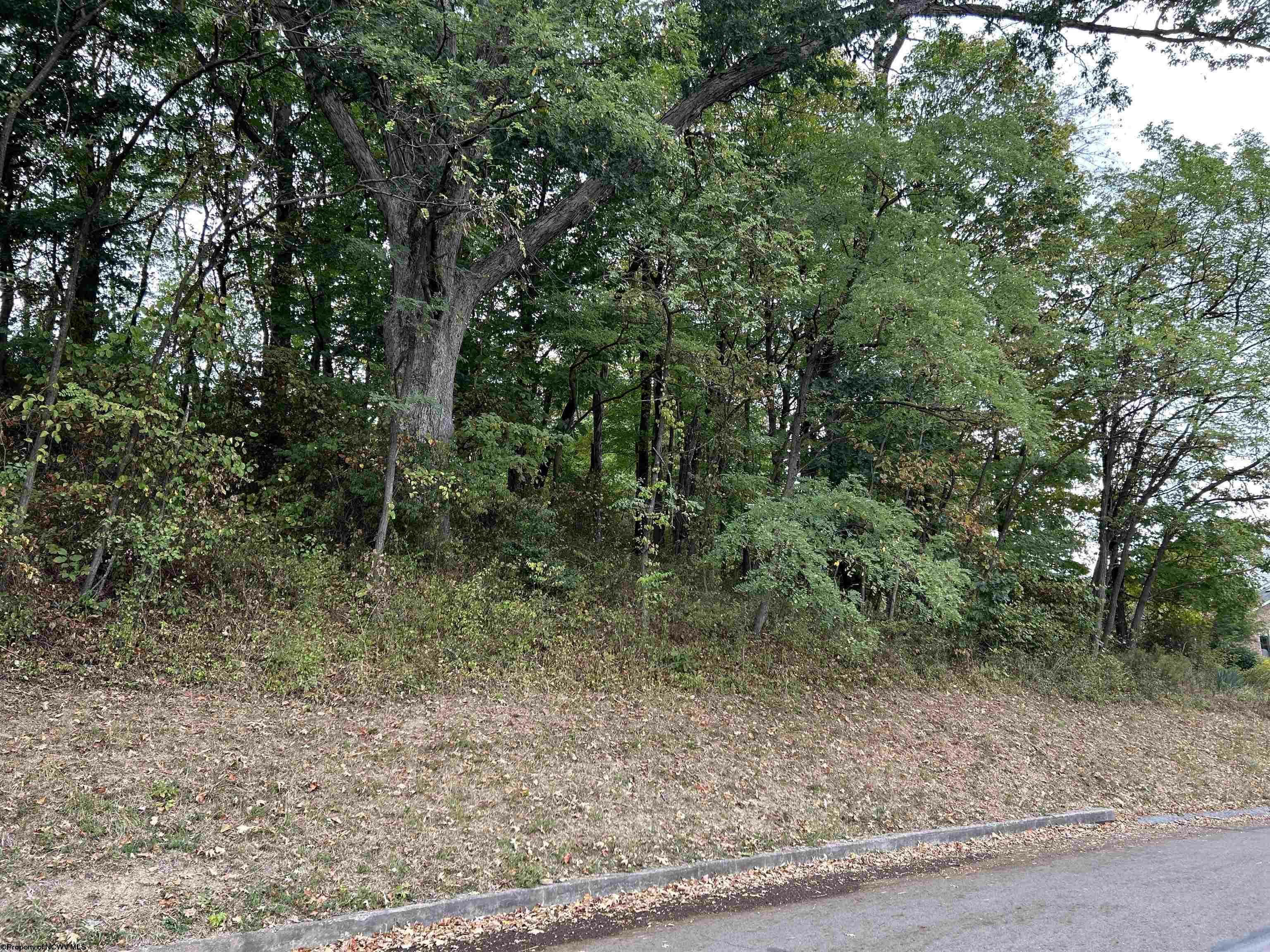 Property Photo:  Lot 45 Courtney Avenue  WV 26501 