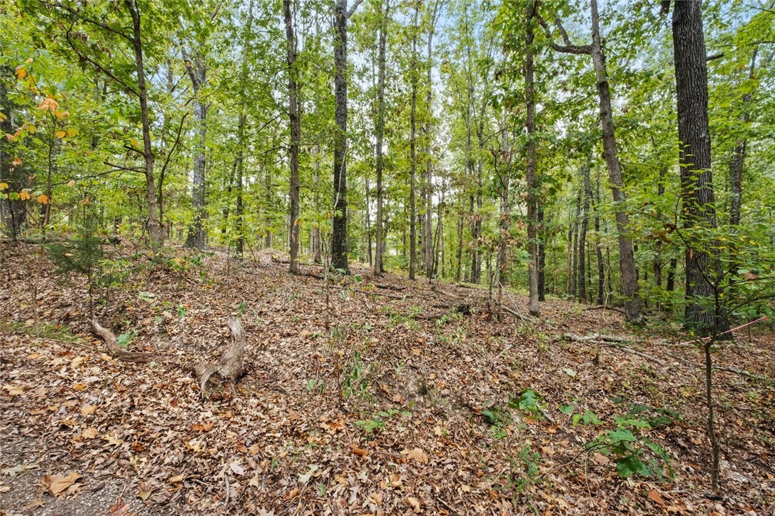 Property Photo:  Lots 1 & 2 Kent Lane  AR 72714 