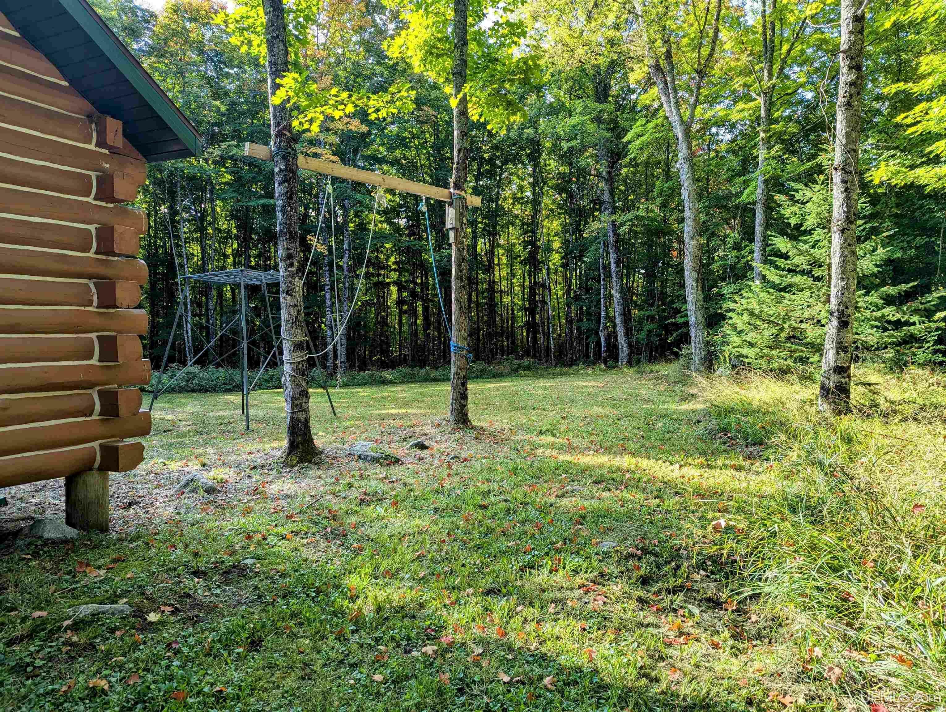 Property Photo:  Tbd Fence River Road  MI 49920 