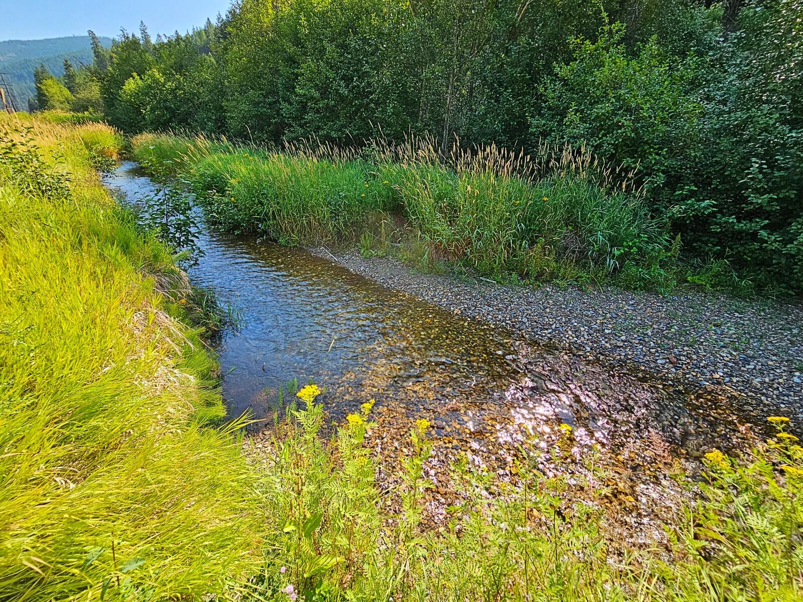 Property Photo: 1022 Joe Creek Rd WA 99114