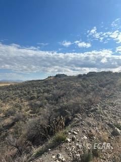 Property Photo:  539 Palace Parkway  NV 89815 