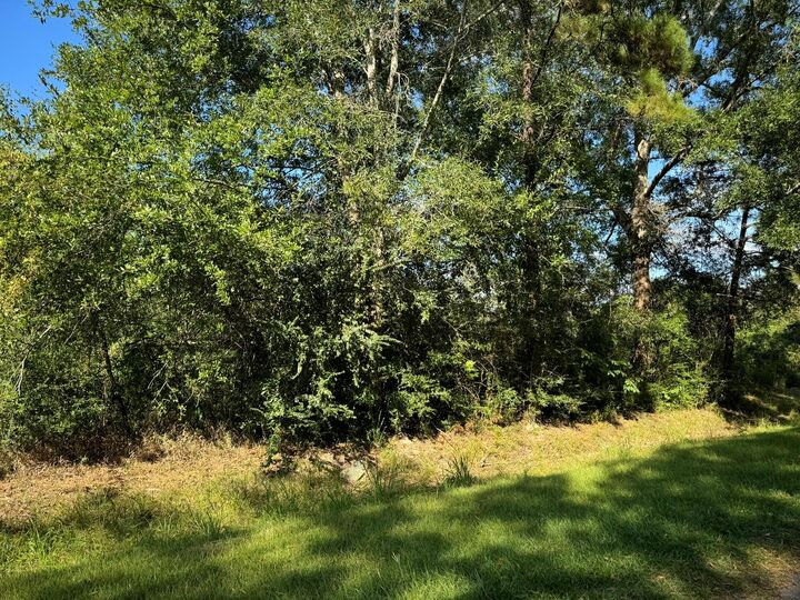 Property Photo:  Lot 74 Pine Park Boulevard  TX 77632 