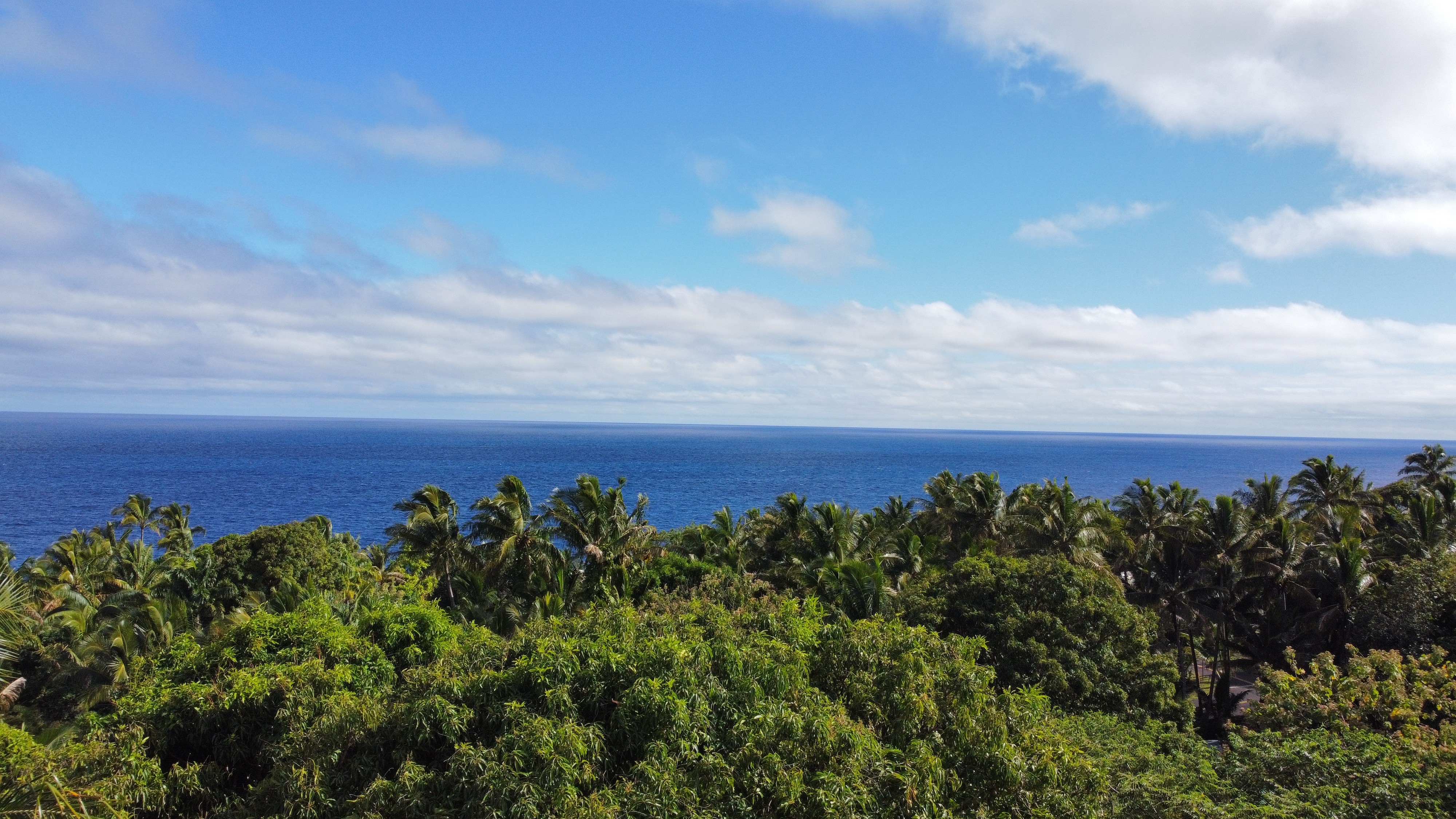 Property Photo:  Kii Nani St  HI 96778 