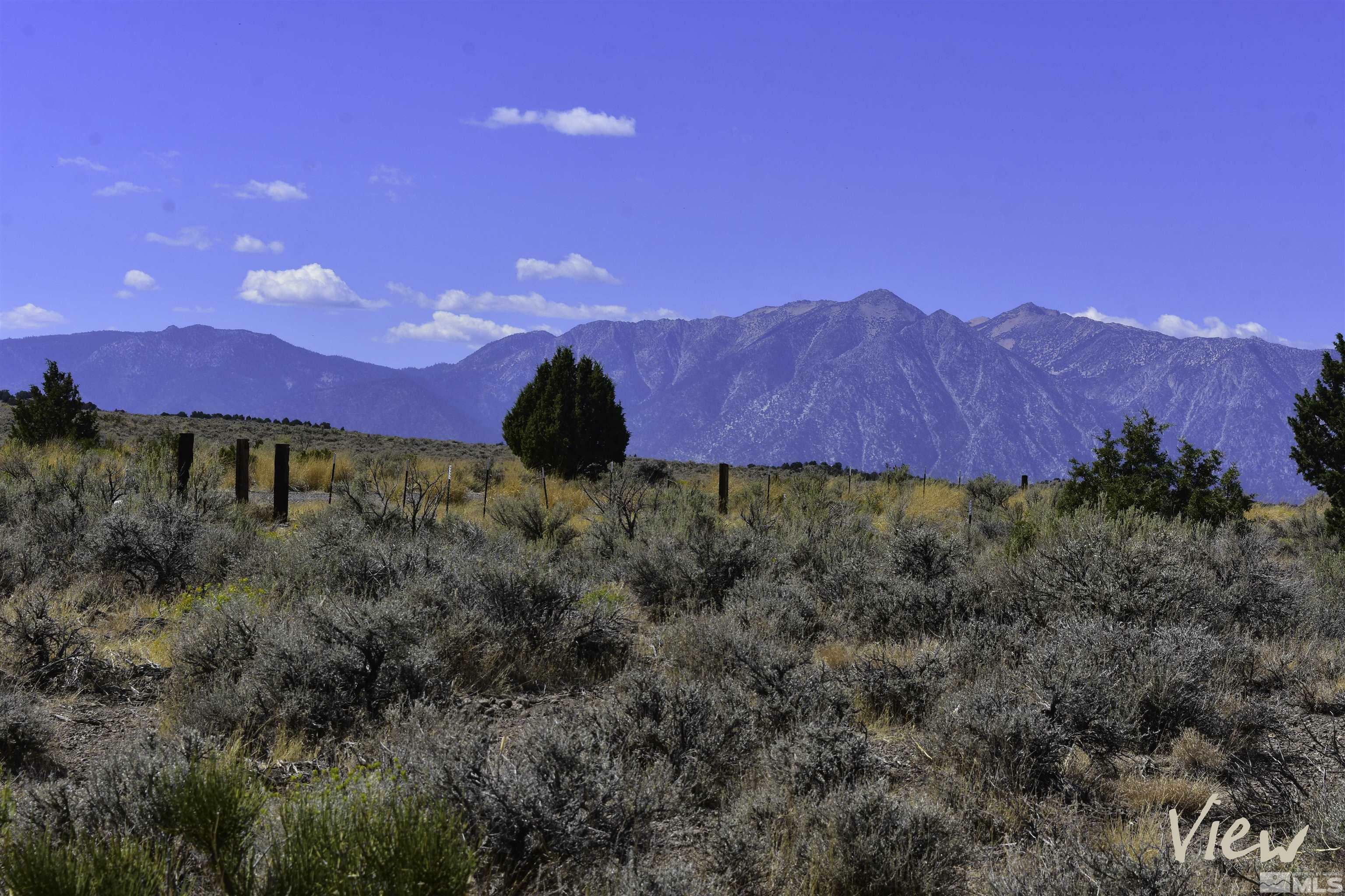 Property Photo:  1167 Out-R-Way 1  NV 89410 